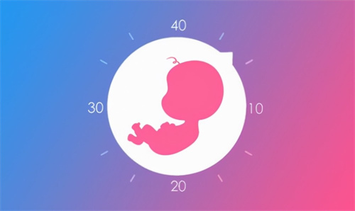 新乡供卵试管生儿子多少钱-江西女子医院试管婴儿治疗费用多少钱？最新2022年生第三代男孩选择医院指南。(图1)